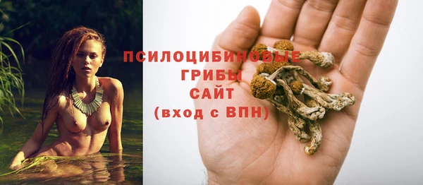 герыч Медногорск