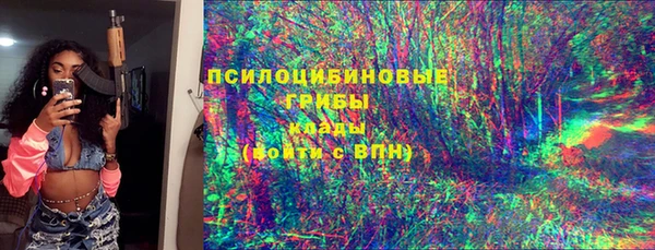 ECSTASY Алзамай