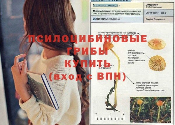 дживик Абаза