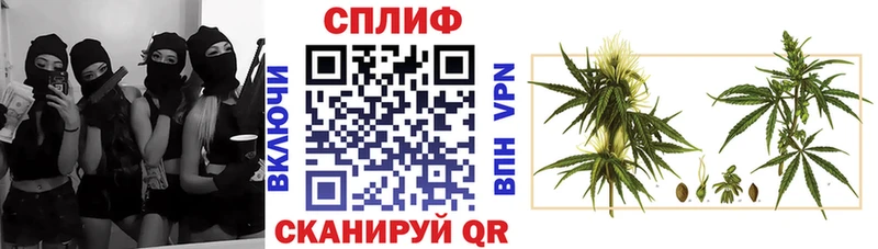 Канабис Amnesia  Туринск 